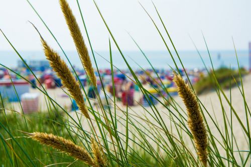 borkum beach holiday