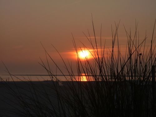 borkum sunset dunes