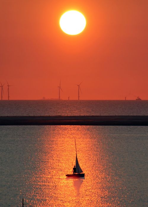 borkum sailing boat seal bank