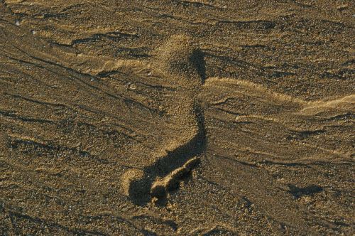 borrows sand beach