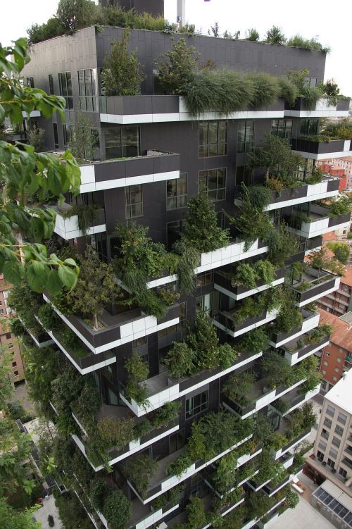 bosco veritcale milan trees