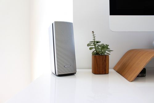 bose speaker workspace