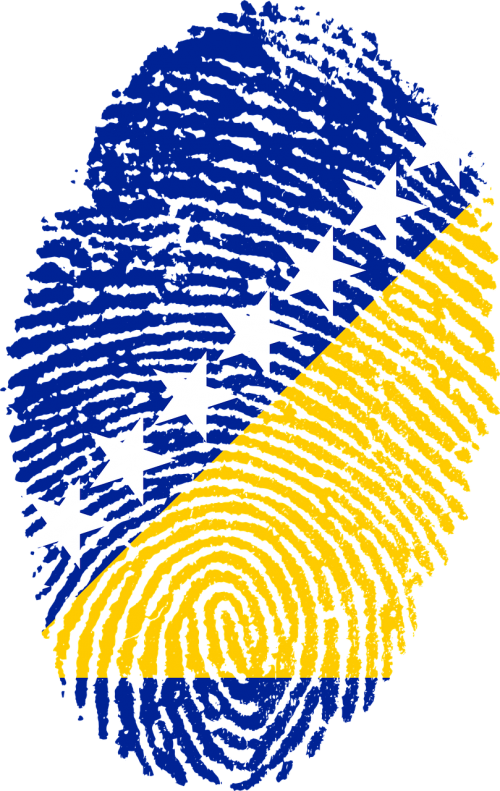 bosnia and herzegovina flag fingerprint