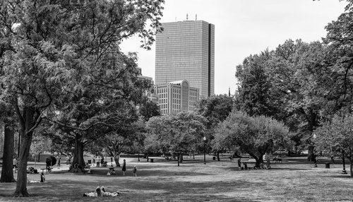 boston  commons  park