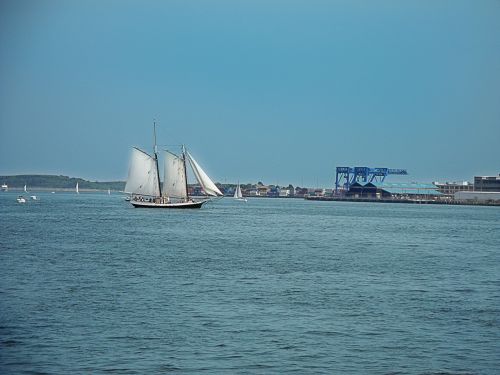 Boston Sailboat