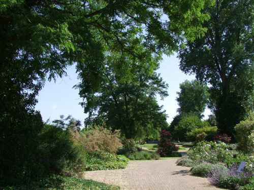 botanical garden düsseldorf garden