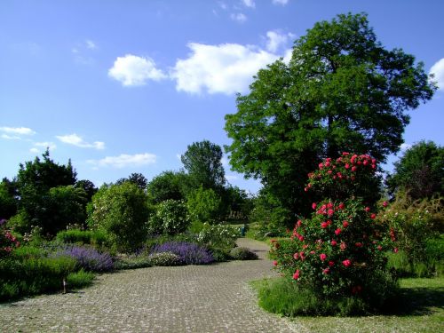 botanical garden düsseldorf garden