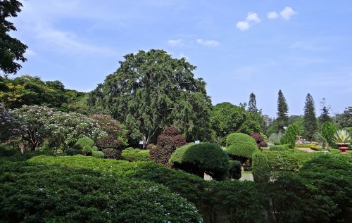 botanical garden lal bagh park