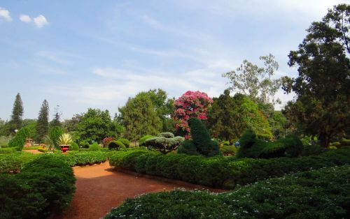 botanical garden lal bagh park