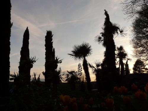 botanical garden garden back light