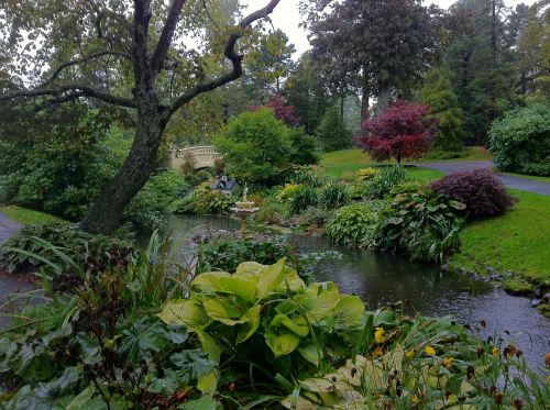 botanical garden foliage nature