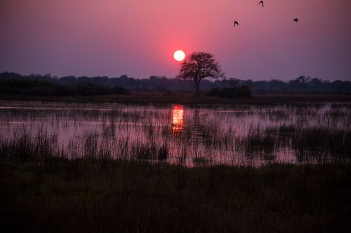 botswana sunrise crimson