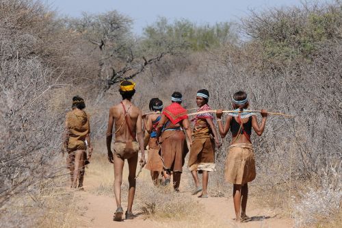 botswana bushman group