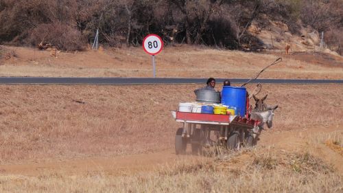 botswana donkey carts traffic