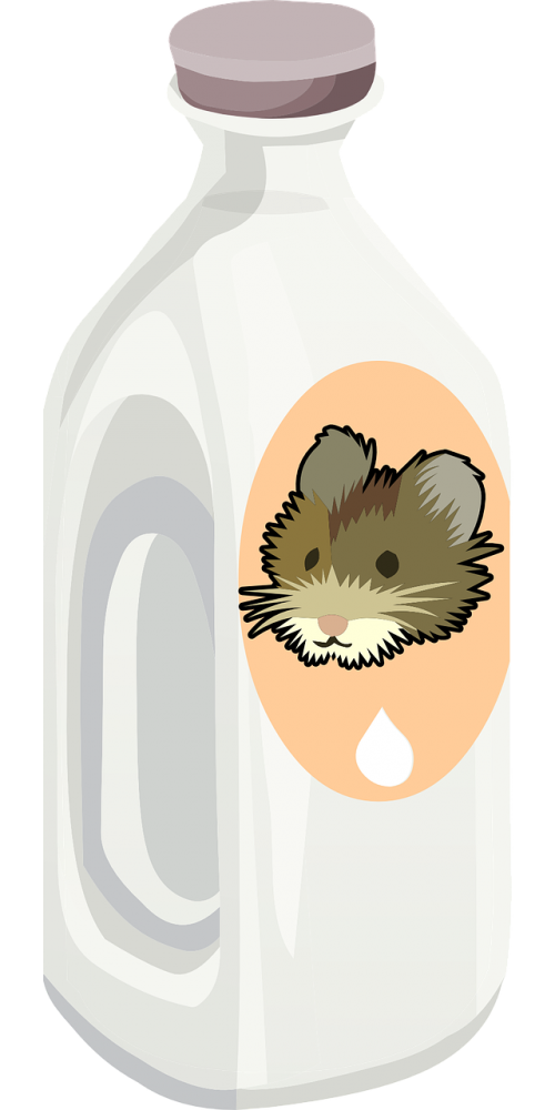 bottle milk rat