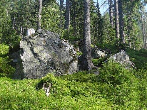 boulder rock stones