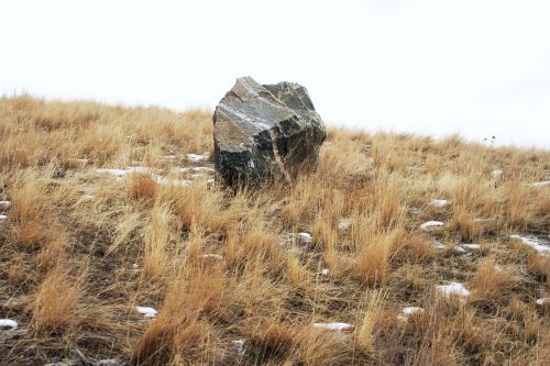 boulder field grass