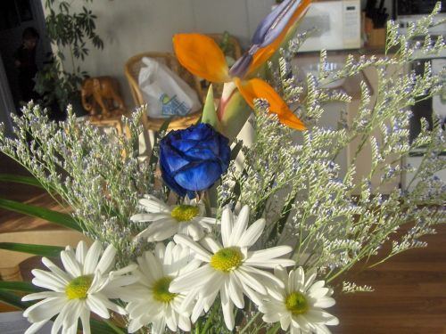 Bouquet (1)