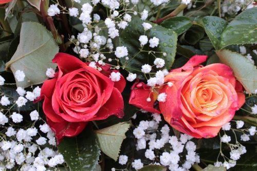 bouquet roses gypsophila