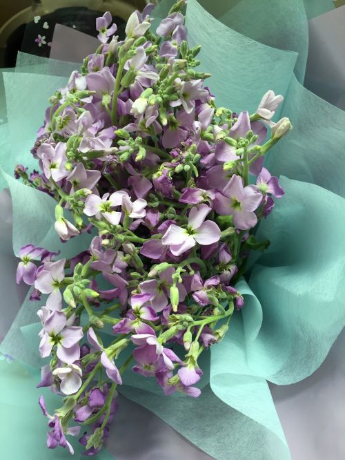 bouquet purple flowers