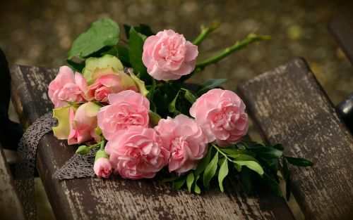 bouquet cloves roses