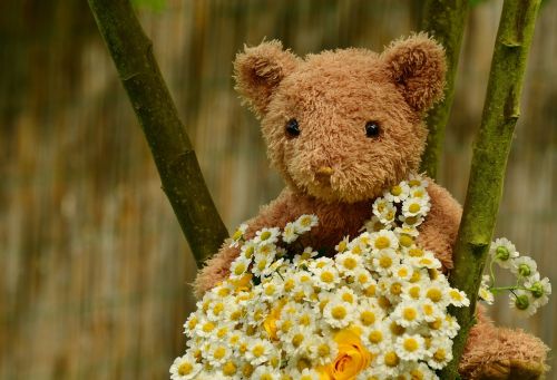 bouquet teddy teddy bear