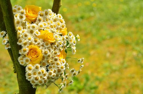 bouquet roses yellow roses