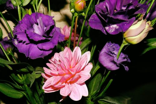 bouquet colorful pink