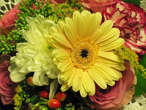 bouquet chrysanthemum nature