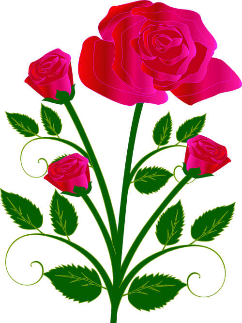 bouquet flower rose