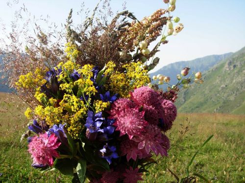 bouquet bouquet of flowers bunch of flowers