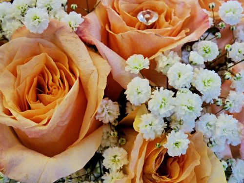 bouquet rose wedding