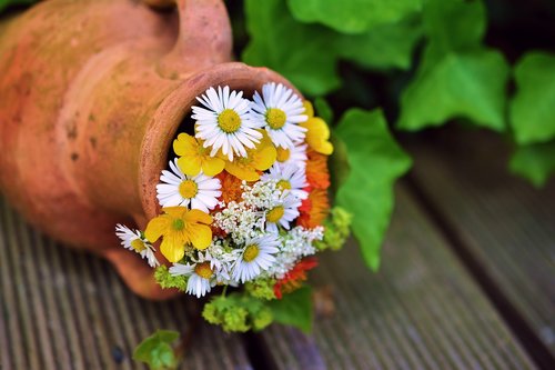 bouquet  flowers  garden