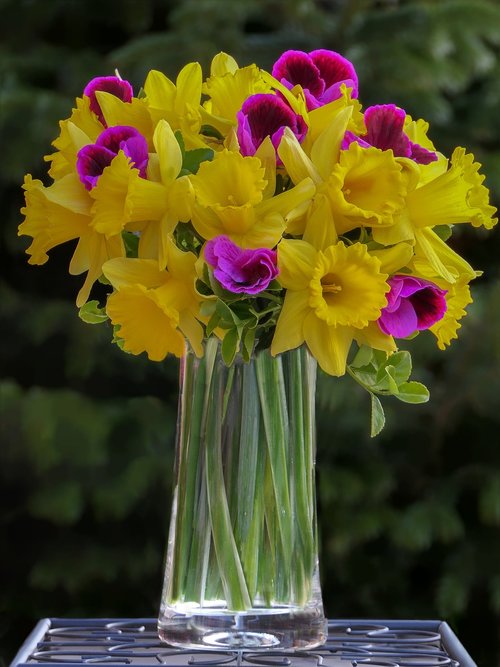 bouquet  daffodils  osterglocken