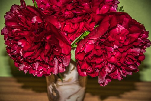 bouquet  peonies  flower