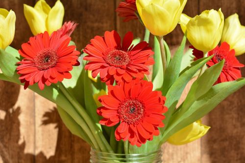 bouquet tulips gerbera