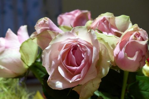 bouquet roses dusky pink