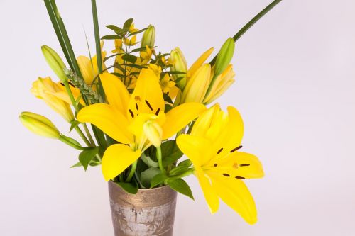 bouquet lily yellow