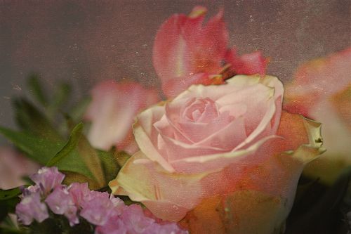 bouquet flowers rose