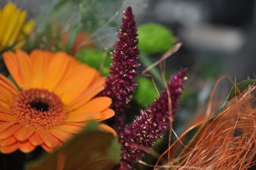 bouquet of flowers nature colorful