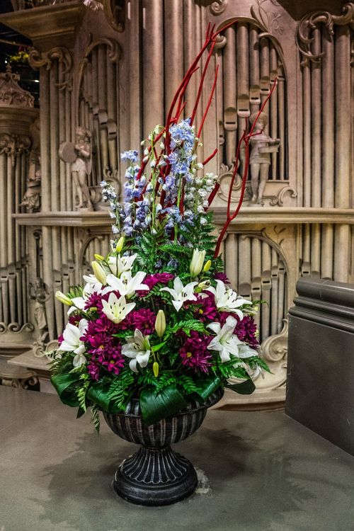 bouquet of flowers posy flowers