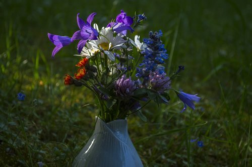 bouquet of flowers  flower  romantic