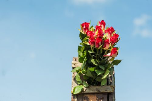 bouquet of roses flamed bird box