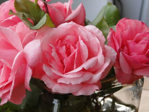 Bouquet Of Soft Pink Roses