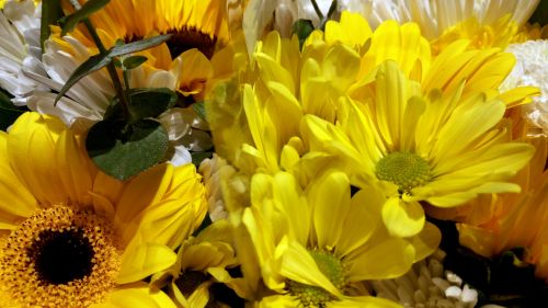 Bouquet Of Yellow Flowers