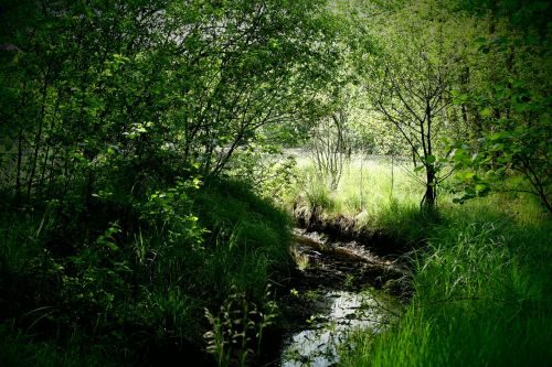 bourn green landscape