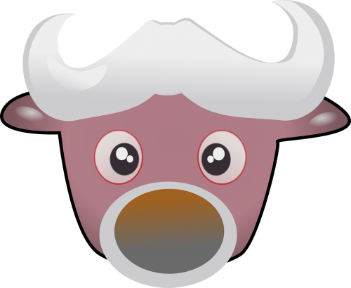 bovine cow beef