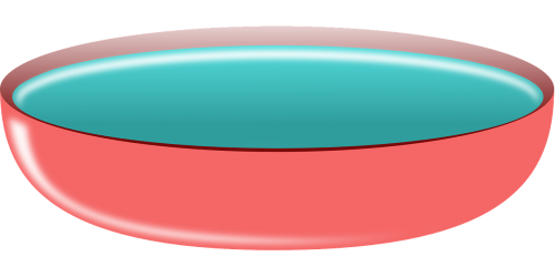 bowl pink water