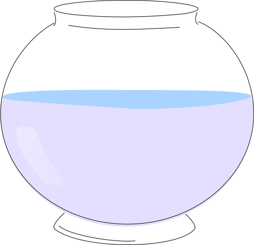 bowl water glass