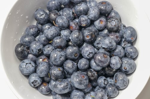 bowl  blueberries  fresh